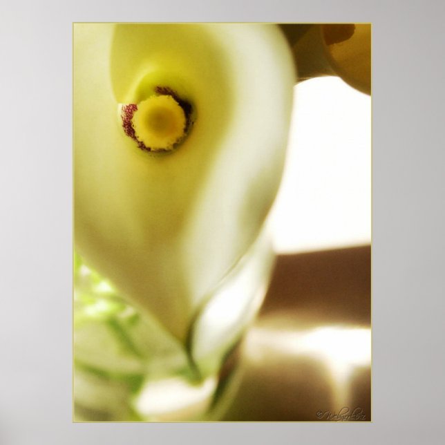 Póster Profundo dentro del Poster (Frente)