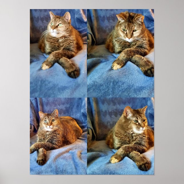 PÓSTER PROFUNDO EN EL PENSAMIENTO KITTY (Frente)