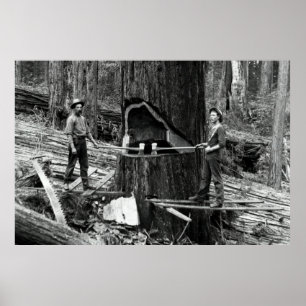 Póster PROFUNDO LUMBERJACKS c. 1890