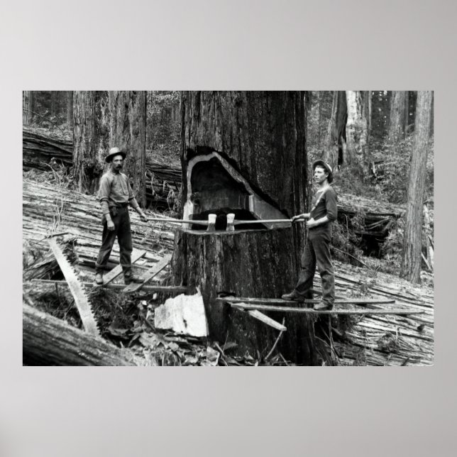 Póster PROFUNDO LUMBERJACKS c. 1890 (Frente)