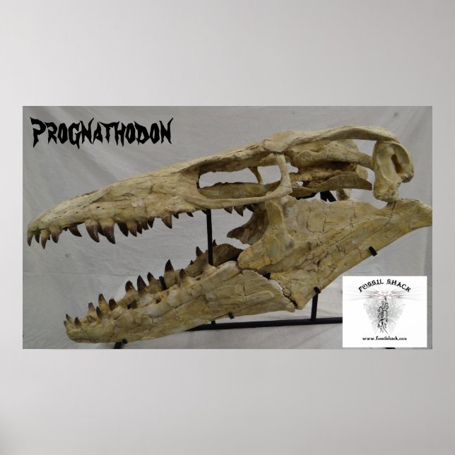 Póster Prognathodon Mosasaur (Frente)
