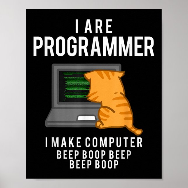 Póster Programador de gato de computadora divertido meme  (Frente)