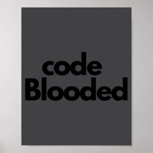 Póster Programador Informático Codificador Divertido