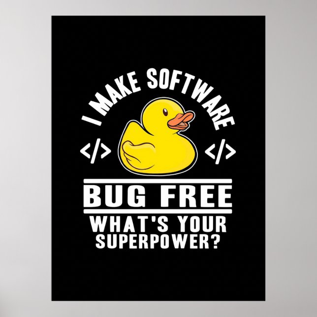 Póster Programador para hacer software libre de fallos (Frente)
