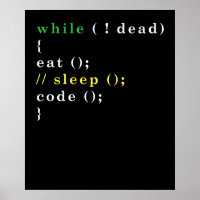 Programador Python de Ciencias de la Computación E