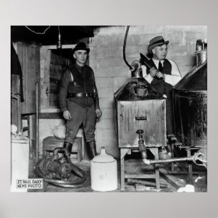 PÓSTER PROHIBICIÓN DE MINNESOTA BUSTO DE MONTAÑA