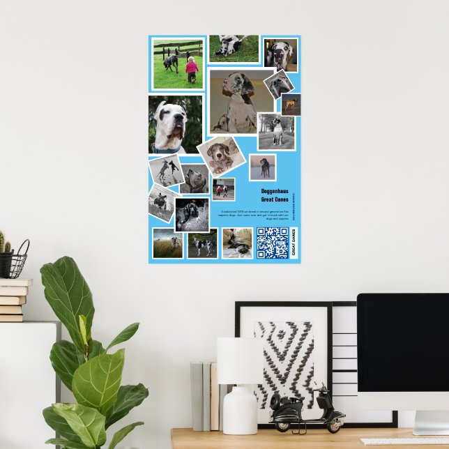 Póster Promoción Enorme de Perreras (Oficina en casa)