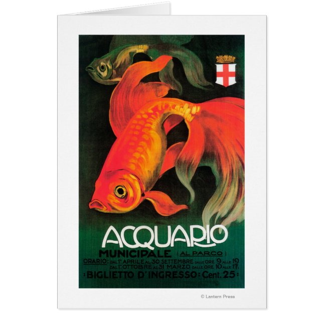 Poster Promocional de Acuario y Parque Municipal (Frente)