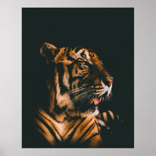 PÓSTER PRONIA DE TIGRE ADULTO ENCENDIDA DENTRO DE LA HABI