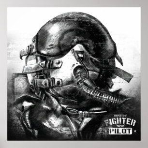 Póster Propiedad del piloto de caza