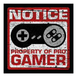 Póster Propiedad Notice De Pro Gamer