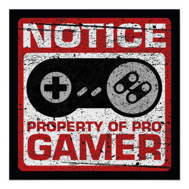 Póster Propiedad Notice De Pro Gamer (Anverso)