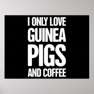 Póster Propietario de cerdo guineano mascota