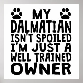 Póster Propietario de Dalmacia bien entrenado
