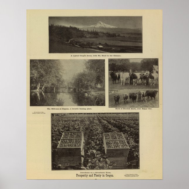 Póster Prosperity, plenty in Oregon (Frente)