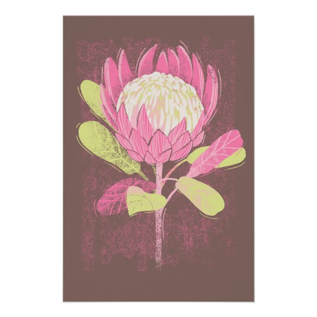 Póster Protea (Anverso)