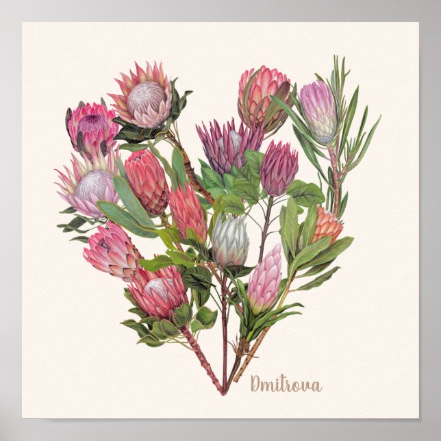 Póster Protea Poster Small (Frente)