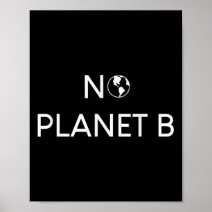 Póster Protección Ambiental Sin Planeta B