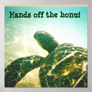 Póster Protección contra tortugas en el mar de Hawái