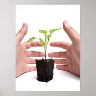 Póster Protección del medio ambiente