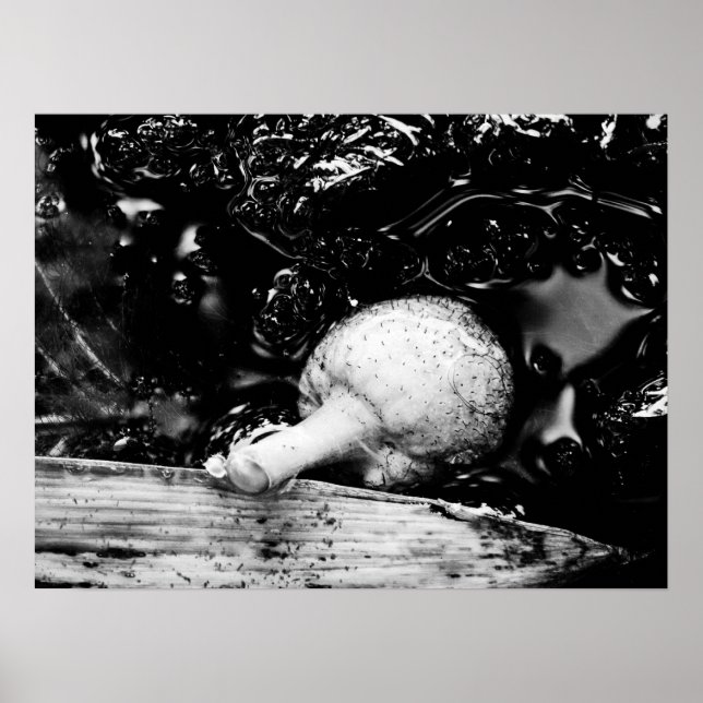 Póster protector oscuro (Frente)