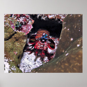 Póster Protegiendo la entrada