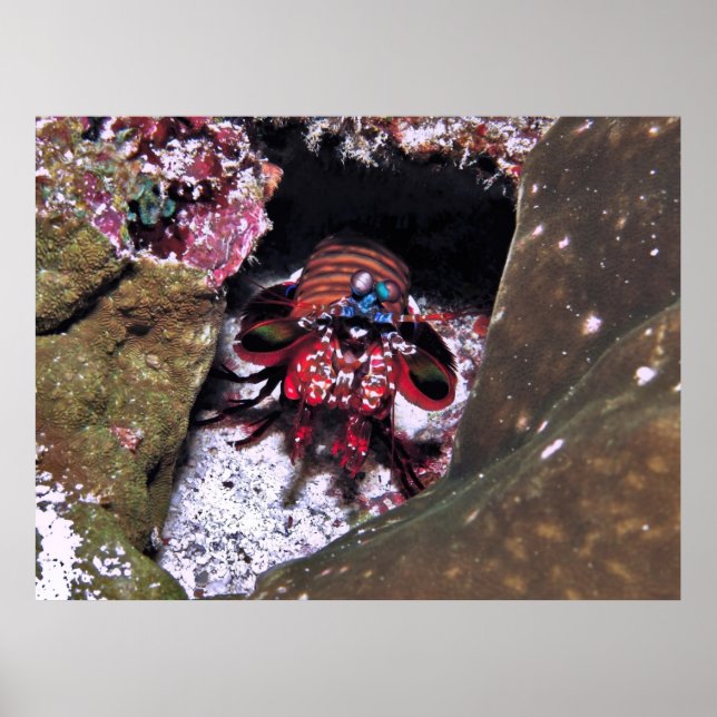 Póster Protegiendo la entrada (Frente)