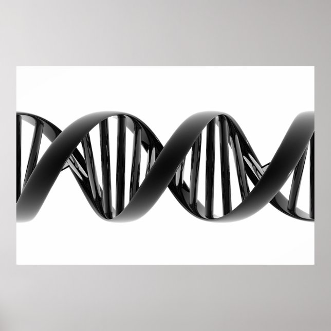 Póster Prototipo (Frente)