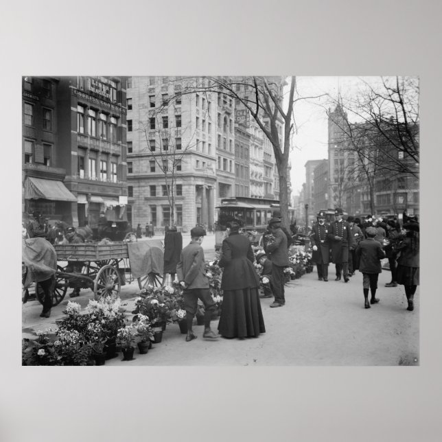 Póster Proveedor de flores (Frente)