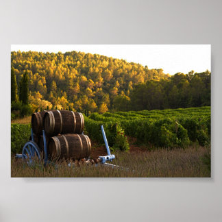 Póster Provenza, Francia