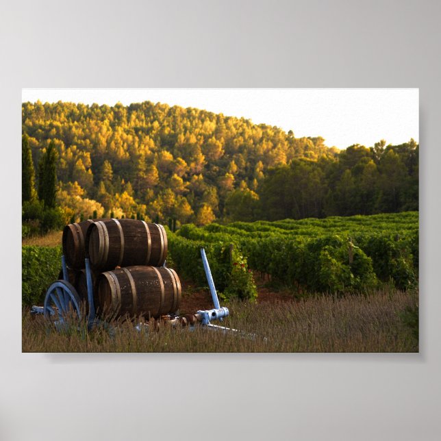 Póster Provenza, Francia (Frente)