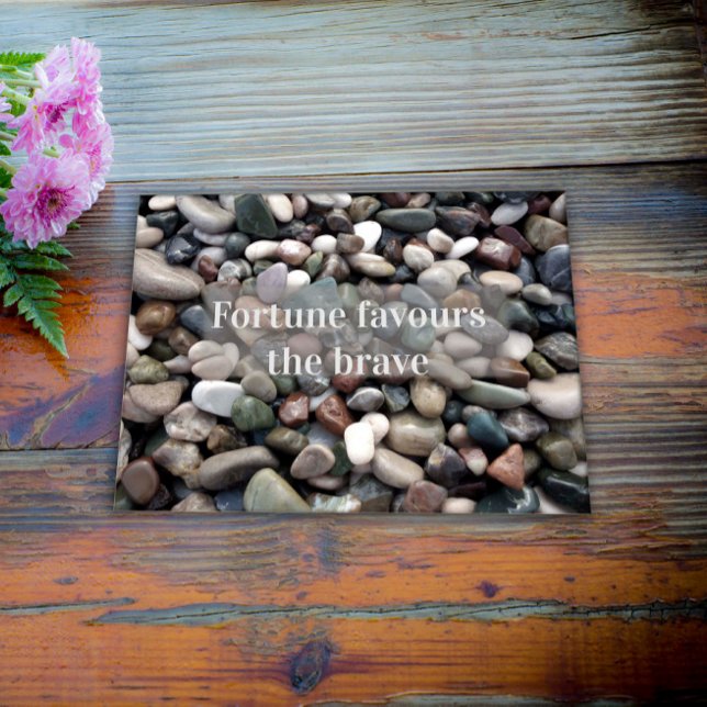 Póster Proverb fortune favours the brave poster (Subido por el creador)