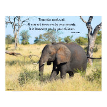Proverbio del Elefante Kenia