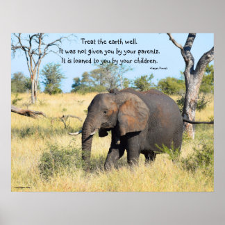 Póster Proverbio del Elefante Kenia