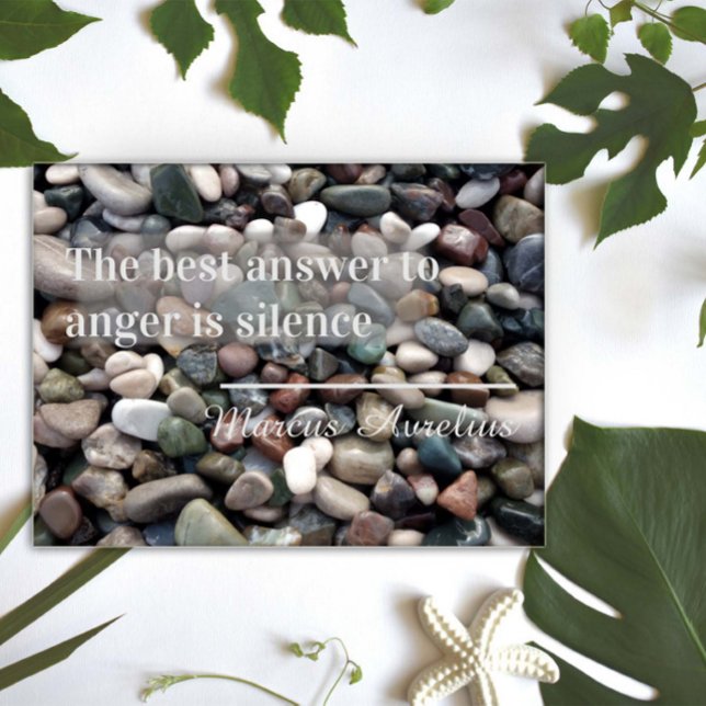 Póster Proverbio La mejor respuesta es el poster del sile (Subido por el creador)