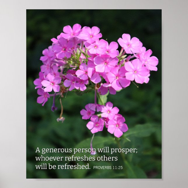 Póster Proverbios 11:25 Pink Phlox Cristiano (Frente)