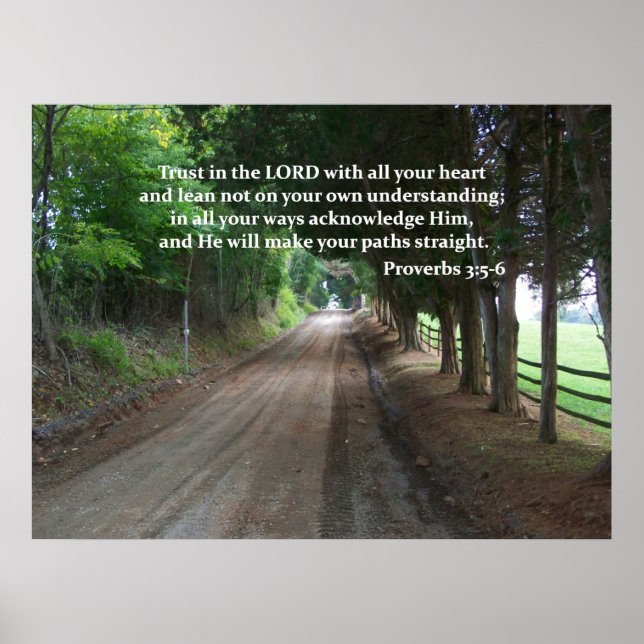 Póster Proverbs 3:5-6 Christian Bible Verse Poster (Frente)