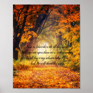 Póster Proverbs 3: 5-6 poster