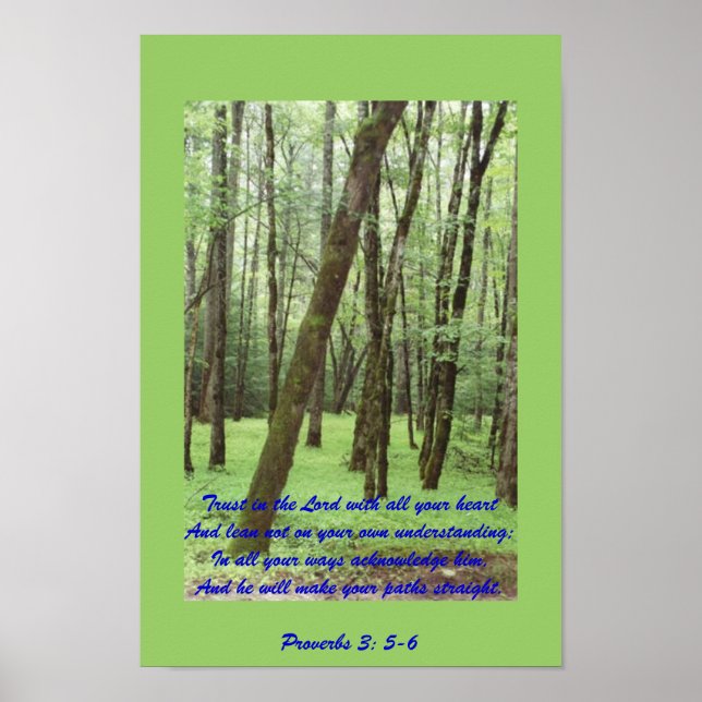 Póster Proverbs 3: 5-6 poster with beautiful green trees (Frente)
