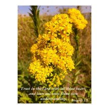 Proverbs 3:5 Bible verse poster