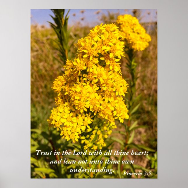 Póster Proverbs 3:5 Bible verse poster (Frente)