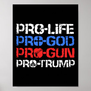 Póster Provida la vida Provida Dios Pro-arma Pro-Trump 