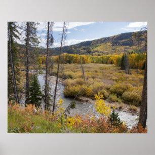 Póster Provo River and aspen trees