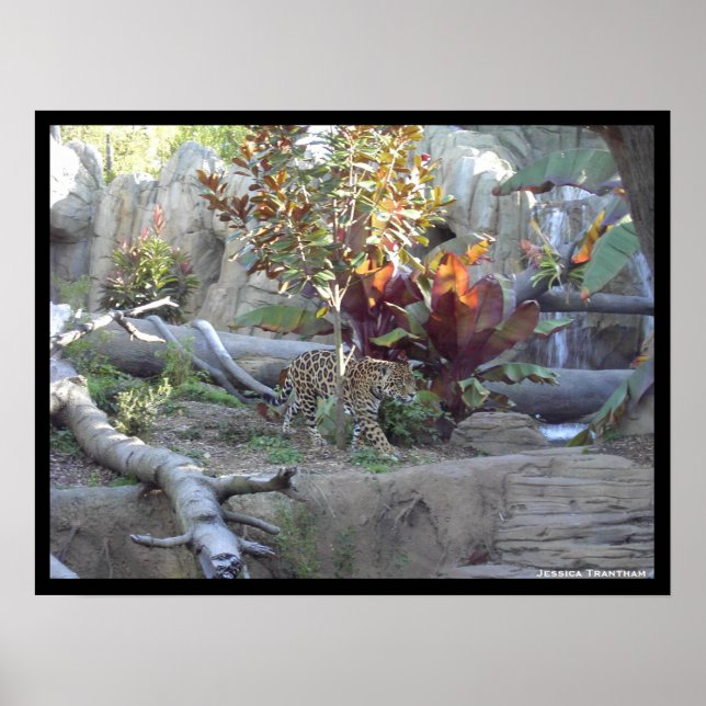 Póster Provocar (Frente)