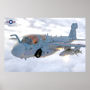 PÓSTER PROWLER EA-6B