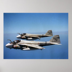 Póster Prowlers EA-6B