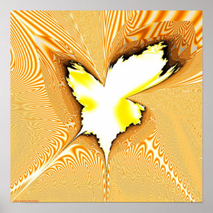 Póster Proyección fractal 1,4 g