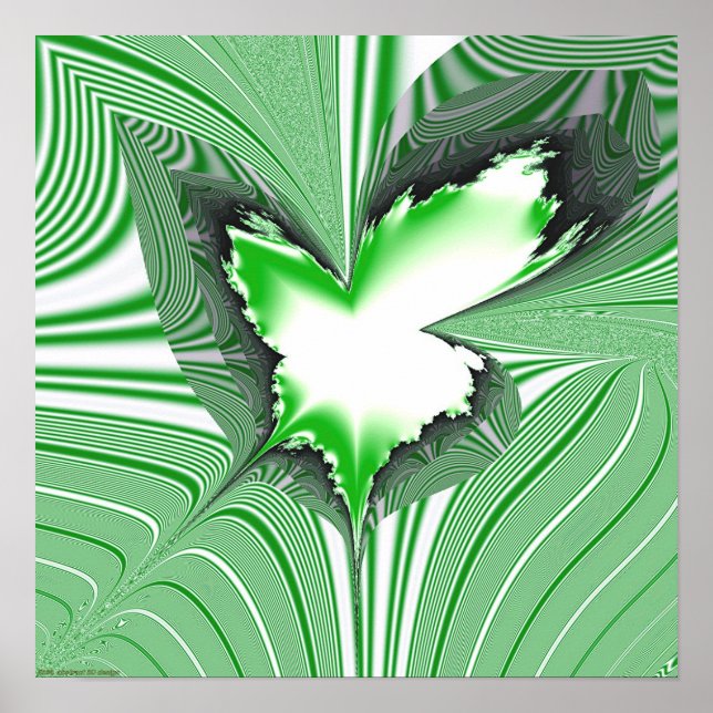 Póster Proyección fractal 1,4 g2 (Frente)