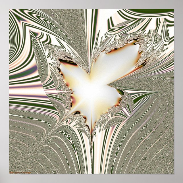 Póster Proyección fractal 1.5.1 (Frente)