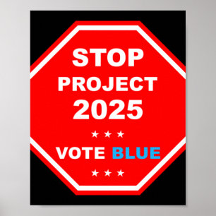 Póster Proyecto "Vote Salvemos la Democracia" 2025